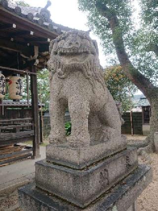 小浜皇大神社の参拝記録(ヨロロンさん)