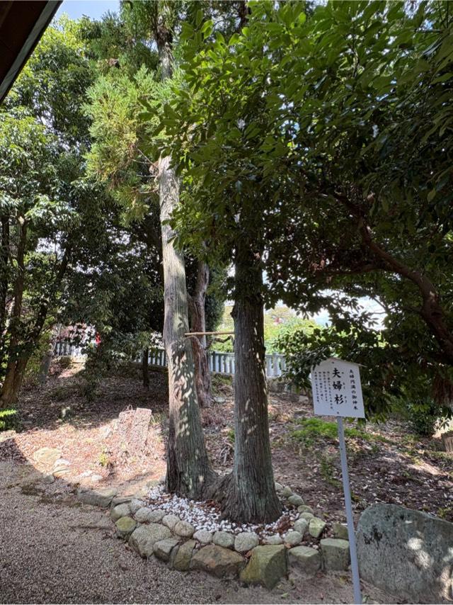 兵庫県宝塚市中山寺2丁目11-21 市杵島姫神社の写真5