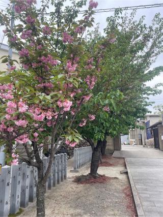 貴布禰神社の参拝記録(サチサチさん)