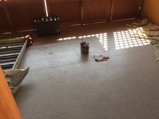 梶ケ島住吉神社の参拝記録(ととるしさん)