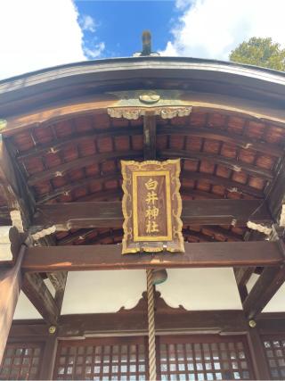 善法寺白井神社の参拝記録(みっちゃんさん)