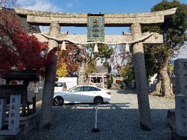 兵庫県尼崎市東園田町4-53-1 白井神社の写真3