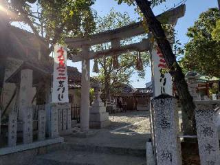 八幡神社（尾浜八幡神社）の参拝記録(すみれさん)