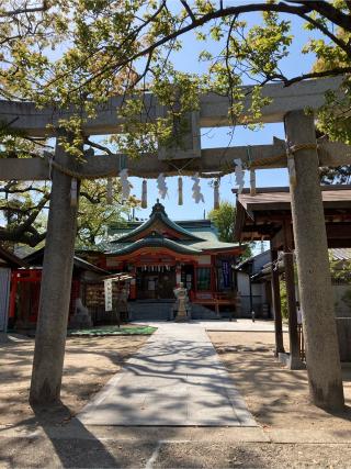 七松八幡神社の参拝記録(k-koさん)
