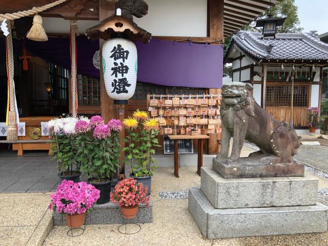 水堂須佐男神社の参拝記録(nikoさん)