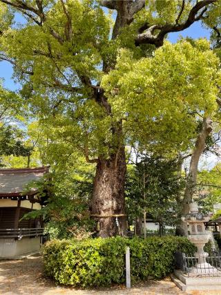 富松神社の参拝記録(KUMIKOさん)