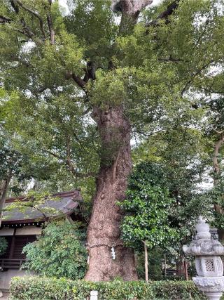 富松神社の参拝記録(KUMIKOさん)