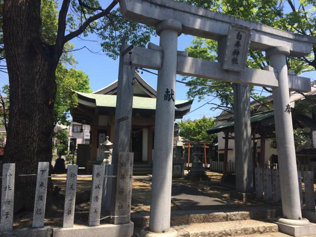 額田白井神社の参拝記録8