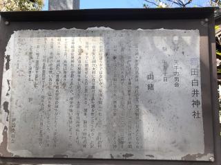 額田白井神社の参拝記録(じゃすてぃさん)