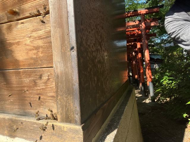 兵庫県尼崎市南武庫之荘8-15-12 守部素盞嗚神社の写真10