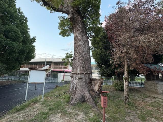 兵庫県尼崎市常松2-13-1 常松春日神社の写真9