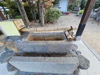 大島神社の参拝記録(すみれさん)