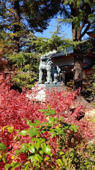道意神社の参拝記録(はじめさん)