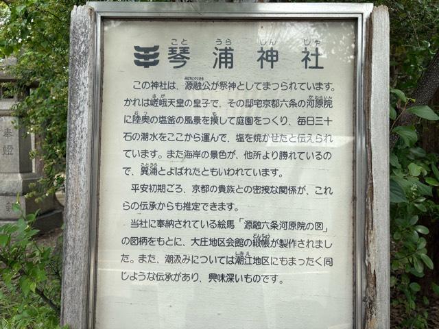 兵庫県尼崎市琴浦町21 琴浦神社の写真3