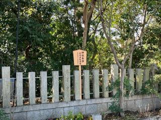 東天神社の参拝記録(ととるしさん)