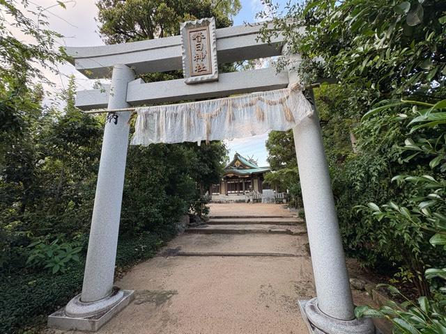 池尻春日神社の写真1