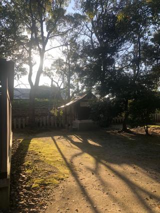 春日神社の参拝記録(深奥(シンオウ)さん)