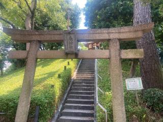 南神社（南之神社）の参拝記録(placerisierさん)