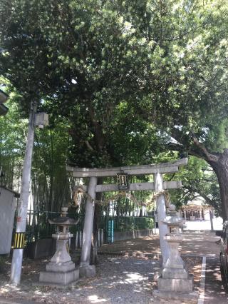春日神社の参拝記録(るみ吉さん)