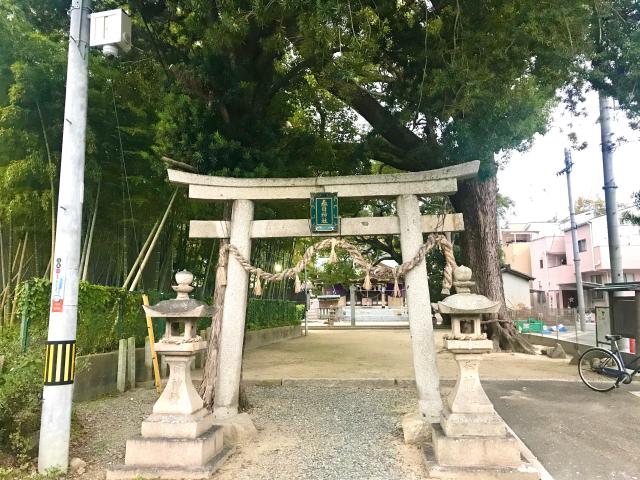 春日神社の写真1