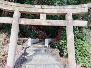 白髭稲荷神社の参拝記録(blackporgyさん)