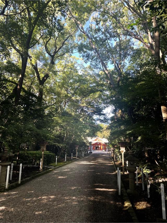 鴨神社の参拝記録8