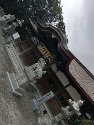 春日神社の参拝記録(けんさん)