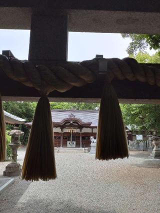春日神社の参拝記録(カジカジさん)