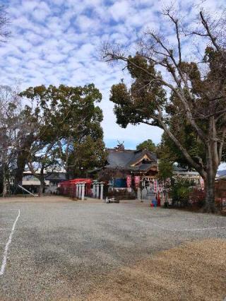 小戸神社の参拝記録(blackporgyさん)