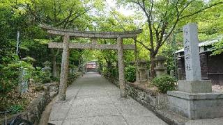 八坂神社の参拝記録(カジカジさん)