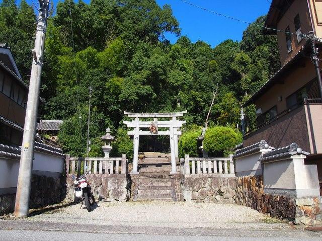 上野素盞嗚神社の参拝記録1