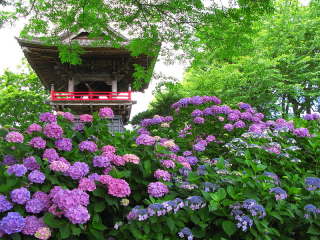埼玉県熊谷市字永井太田1141 能滿山安全坊定禪院能護寺の写真1