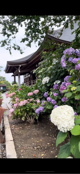能滿山安全坊定禪院能護寺の参拝記録(すず散歩🐈💕🐾さん)