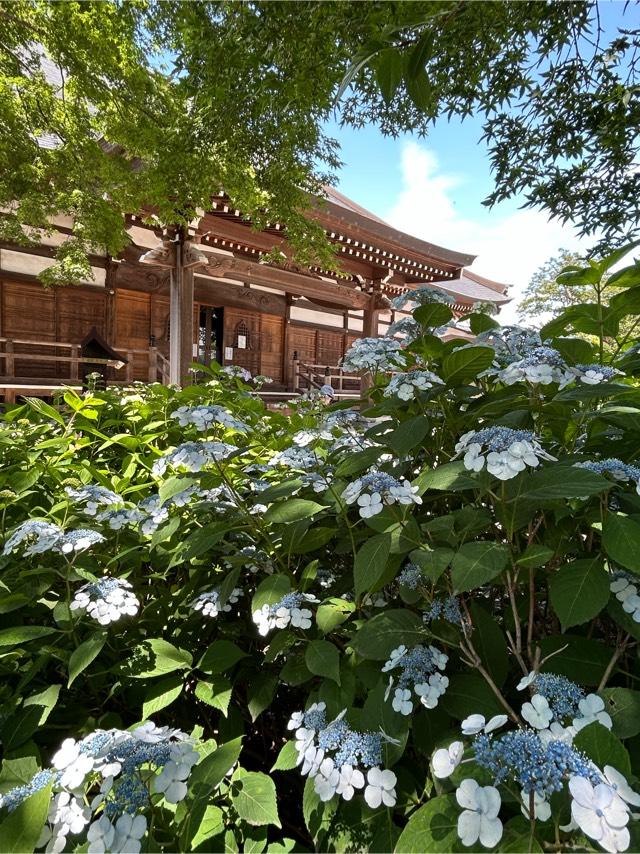 能滿山安全坊定禪院能護寺の参拝記録8