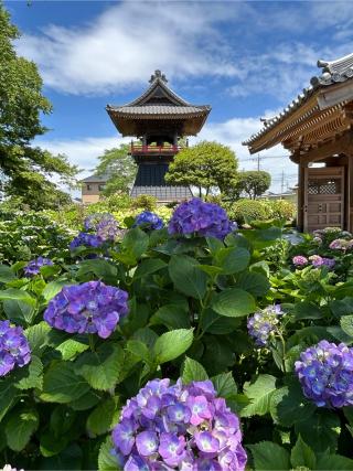 能滿山安全坊定禪院能護寺の参拝記録(こうさん)