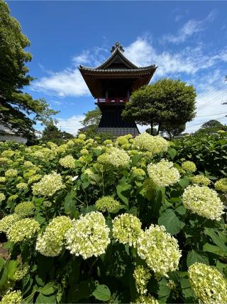 能滿山安全坊定禪院能護寺の参拝記録(こうさん)