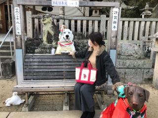 三田天満神社(三田天満宮)の参拝記録(あゆさん)