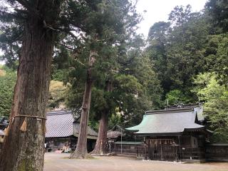 波々伯部神社の参拝記録(あきちゃんさん)