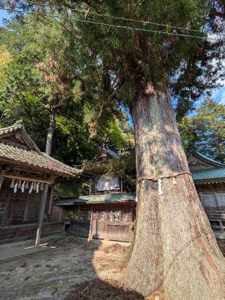波々伯部神社の参拝記録(うーさんさん)
