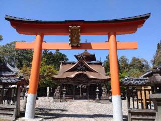 柏原八幡宮の参拝記録(亜子さん)