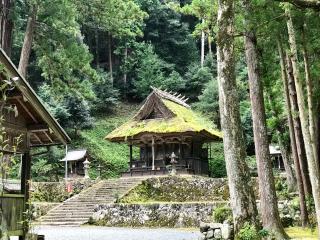 新井神社の参拝記録(じゃすてぃさん)