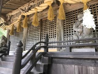 新井神社の参拝記録(じゃすてぃさん)