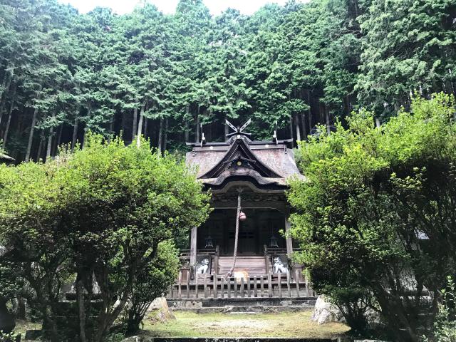 兵庫県丹波市氷上町上成松35-1 一ノ宮神社の写真1