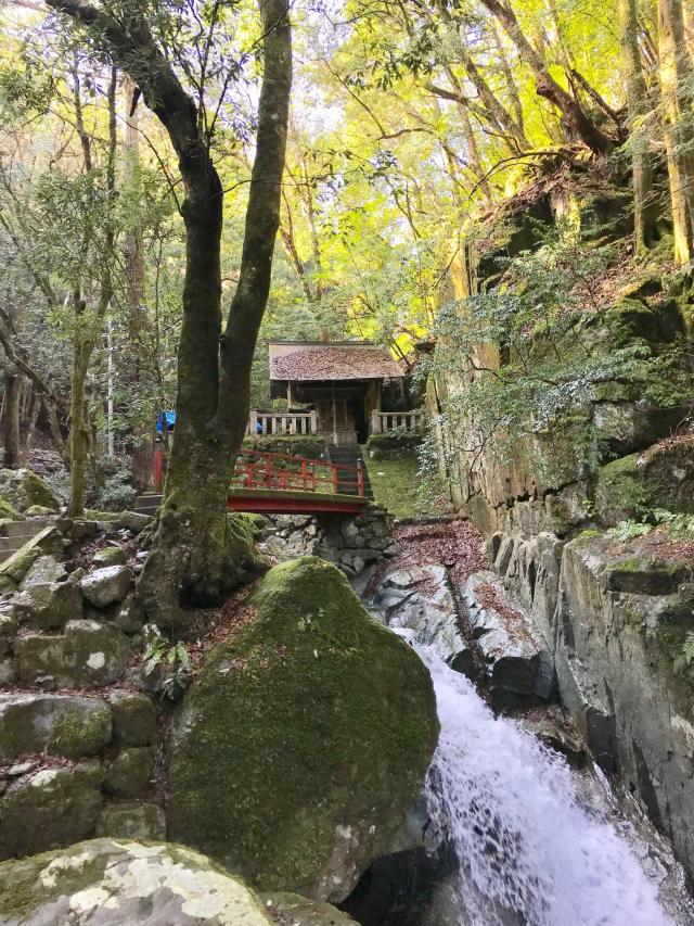 兵庫県丹波市青垣町稲土46 浄丸神社の写真1