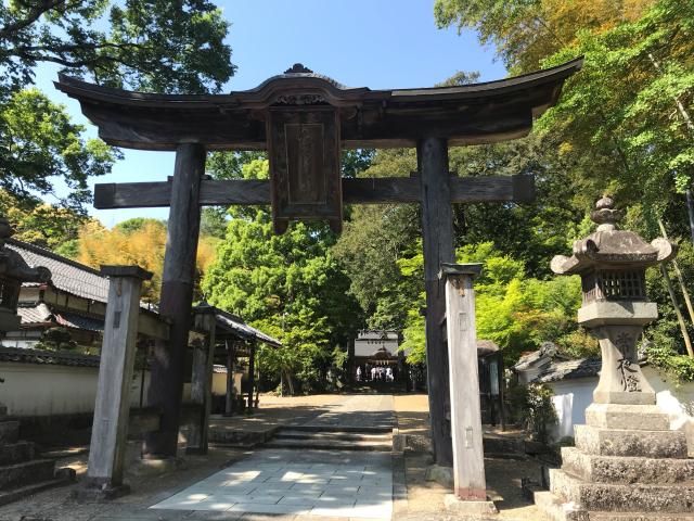 兵主神社の参拝記録7