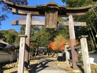 兵主神社の参拝記録(kazu0247さん)