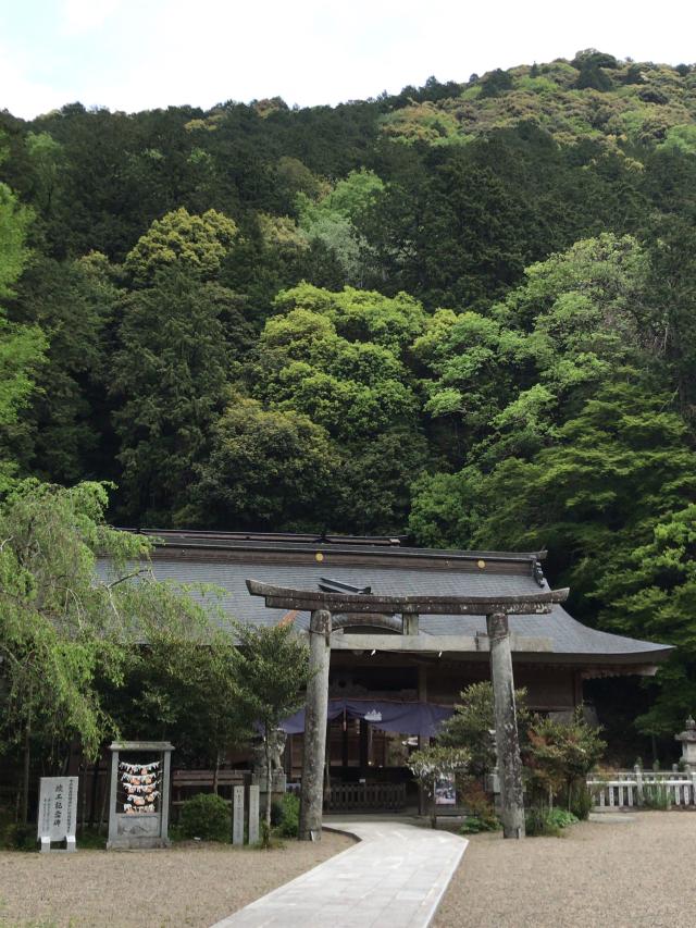 兵庫県丹波市山南町谷川3557 高座神社の写真2