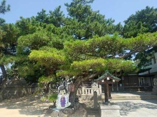 岩屋神社の参拝記録(抹茶あづきさん)