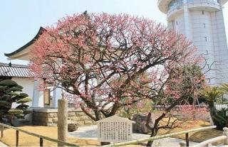 柿本神社の参拝記録(くらのりさん)
