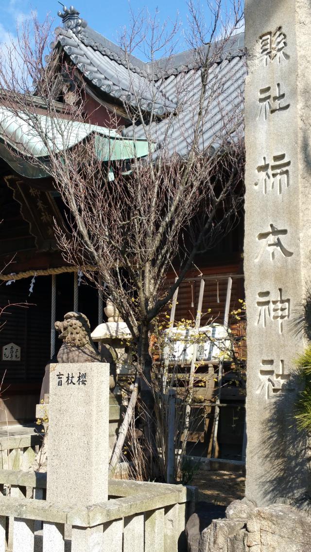 兵庫県明石市人丸町1-26 柿本神社の写真1